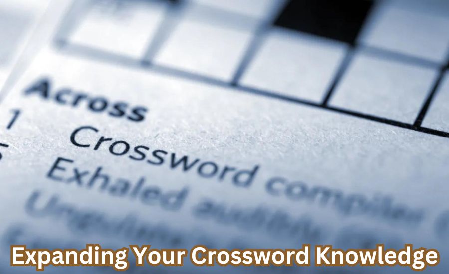 latches onto nyt crossword clue