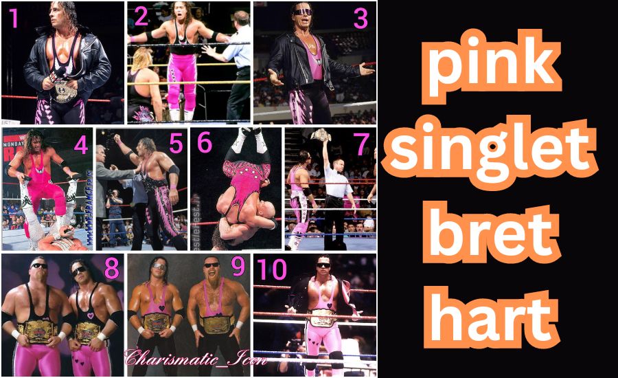 Bret Hart's