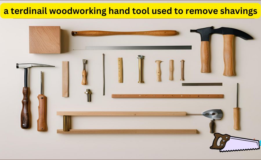 a terdinail woodworking hand tool used to remove shavings