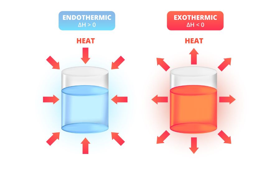 Endothermic or Exothermic