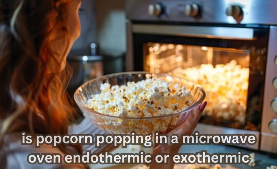 endothermic or exothermic