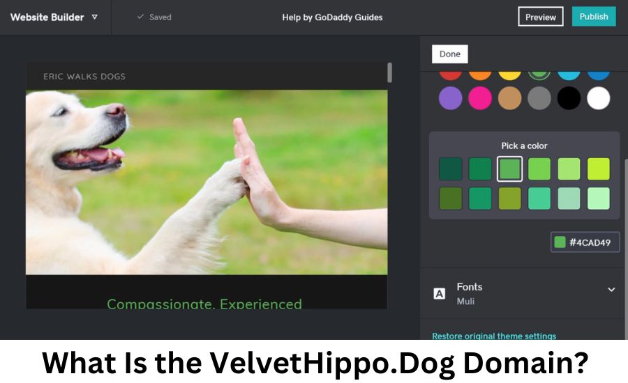 velvethippo.dog domain godaddy